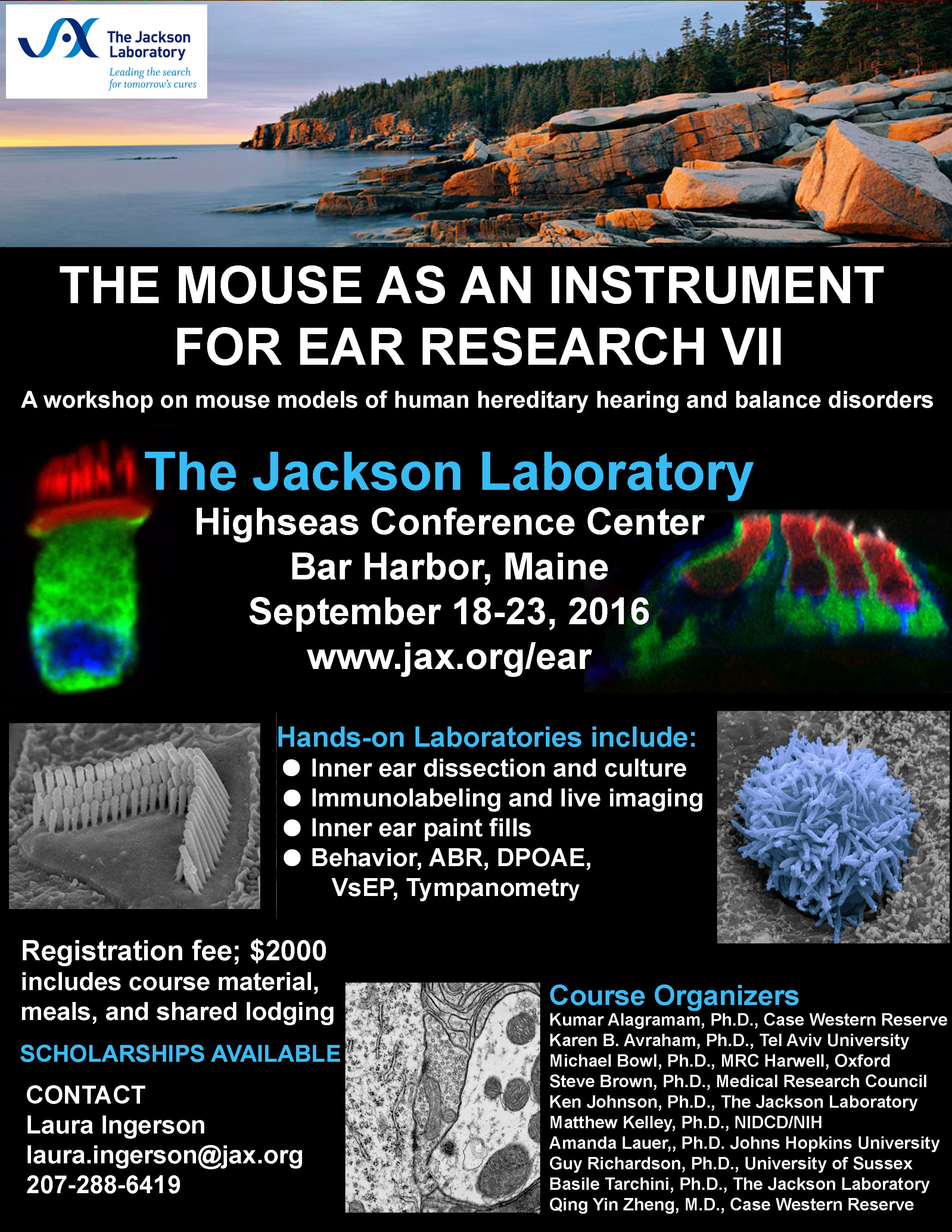 The Mouse as an Instrument for Ear Research VII - The Jackson Laboratory Workshop