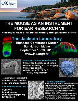 The Mouse as an Instrument for Ear Research VII